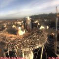 08_00-nest.jpg