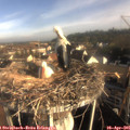 08_10-nest.jpg