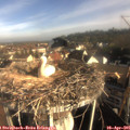 08_15-nest.jpg