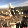 08_25-nest.jpg
