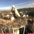 08_30-nest.jpg
