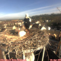 08_35-nest.jpg