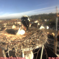 08_40-nest.jpg