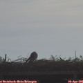 09_00-mast.jpg