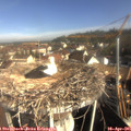 09_00-nest.jpg
