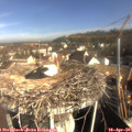 09_05-nest.jpg