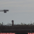 09_10-mast.jpg