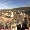 09_15-nest.jpg
