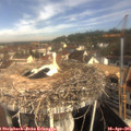 09_40-nest.jpg