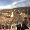 09_45-nest.jpg