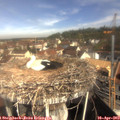 10_10-nest.jpg
