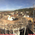 10_20-nest.jpg