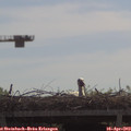 10_35-mast.jpg