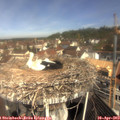 10_35-nest.jpg