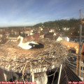 10_40-nest.jpg
