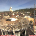 11_25-nest.jpg
