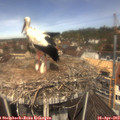 12_05-nest.jpg