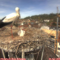 12_25-nest.jpg
