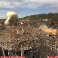 12_55-nest.jpg