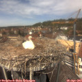 13_10-nest.jpg