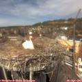 13_15-nest.jpg