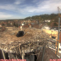 13_25-nest.jpg