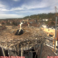 13_55-nest.jpg