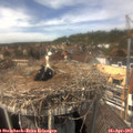 14_00-nest.jpg