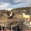 14_05-nest.jpg