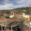 14_10-nest.jpg