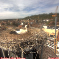 14_35-nest.jpg