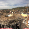 14_40-nest.jpg