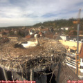 14_45-nest.jpg