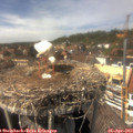 14_55-nest.jpg