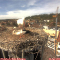 15_10-nest.jpg