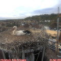 17_55-nest.jpg