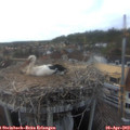 18_10-nest.jpg