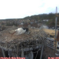 18_15-nest.jpg