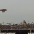 18_20-mast.jpg