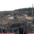 18_30-nest.jpg