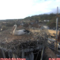18_45-nest.jpg