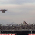 19_30-mast.jpg
