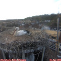 19_30-nest.jpg