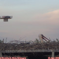 19_35-mast.jpg