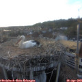 19_40-nest.jpg