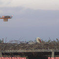 20_05-mast.jpg