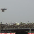 06_35-mast.jpg