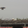 06_40-mast.jpg