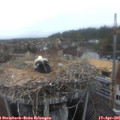 06_40-nest.jpg