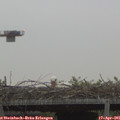 06_55-mast.jpg